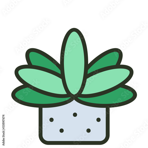 succulents icon