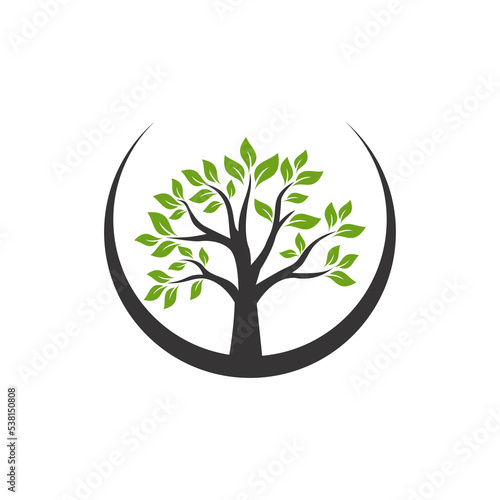 Vector tree logo template design