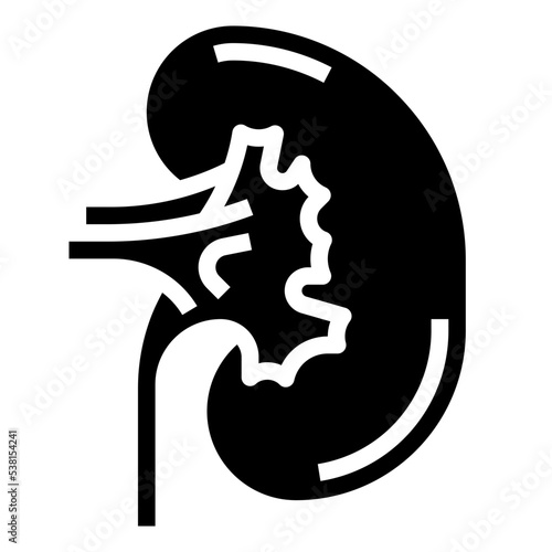 KIDNEYS glyph icon