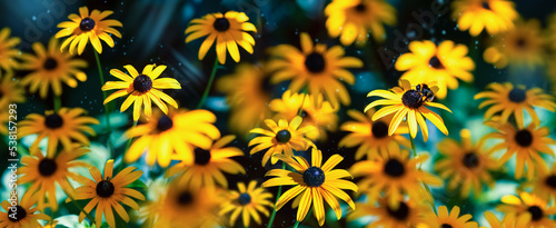 Bright banner of yellow flowers. Bumblebee on a flower. Summer fairyland.