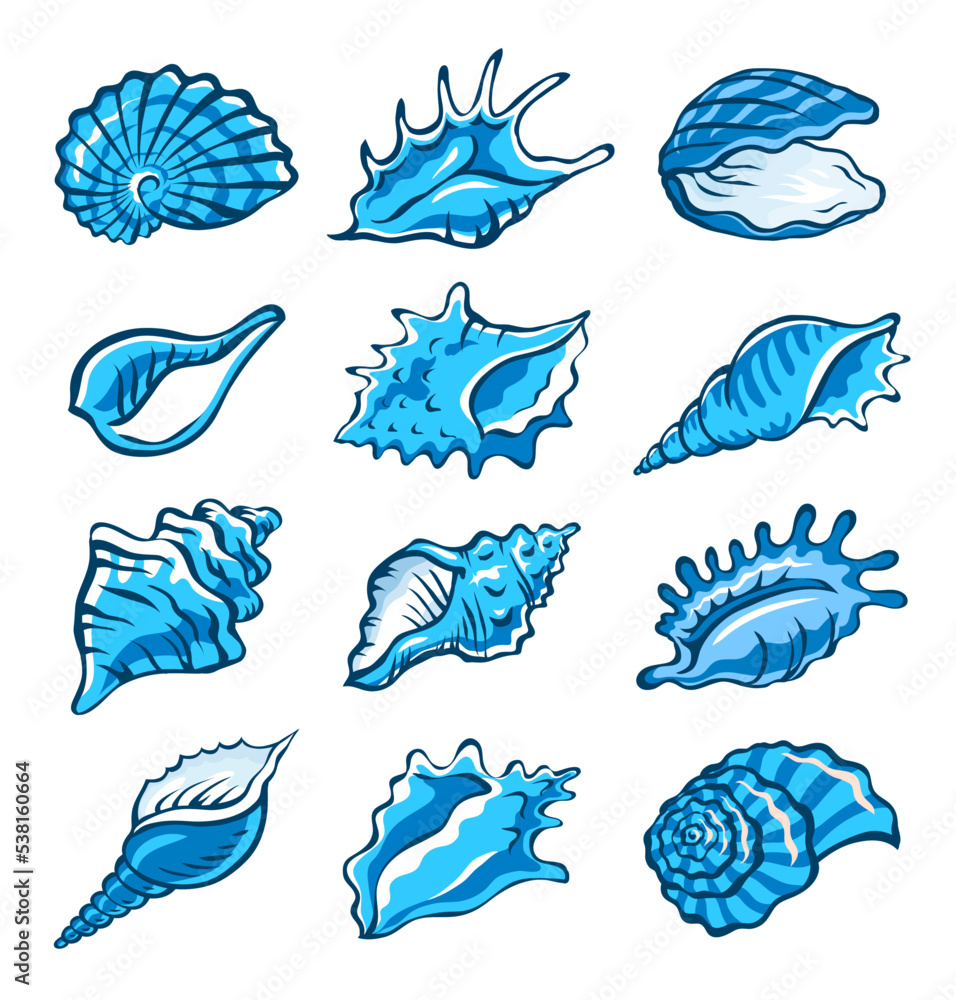 Seashells set. Marine underwater twisted shell. Undersea mollusc ...