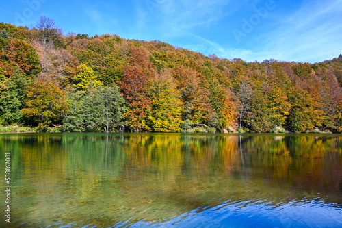 Beautiful Autumn landscape. Fall trees in a row along lake. Colorful leaves on the trees reflecting in water. 