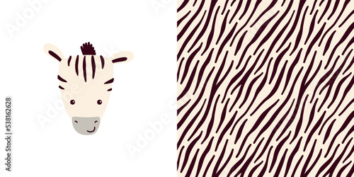 Vector collection - print with cute zebra character plus seamless pattern with animal skins
