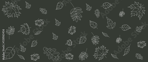 Vector flat illustration. Dark green background with autumn falling leaves with white outline. Pattern for textiles, wallpaper, gift wrapping, business cards, covers and invitations.