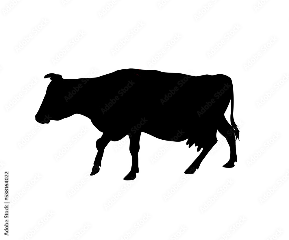 Silhouette of a walking cow, isolated Silhouette of a walking cow, isolated