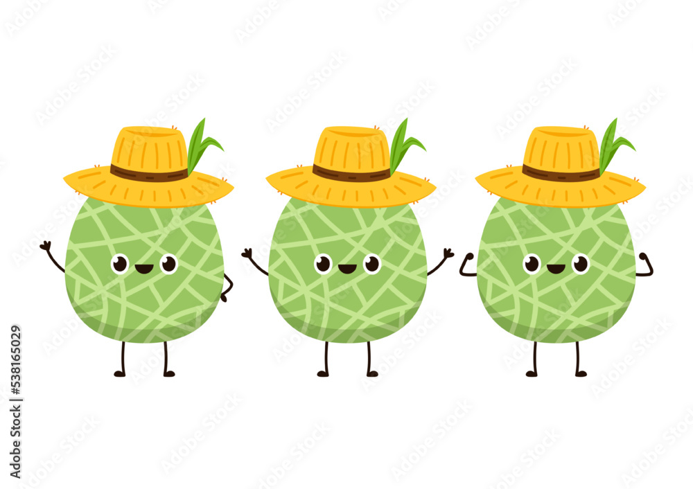 Melon character design. melon on white background. Melon in a Peasant hat vector. Farmer hat.