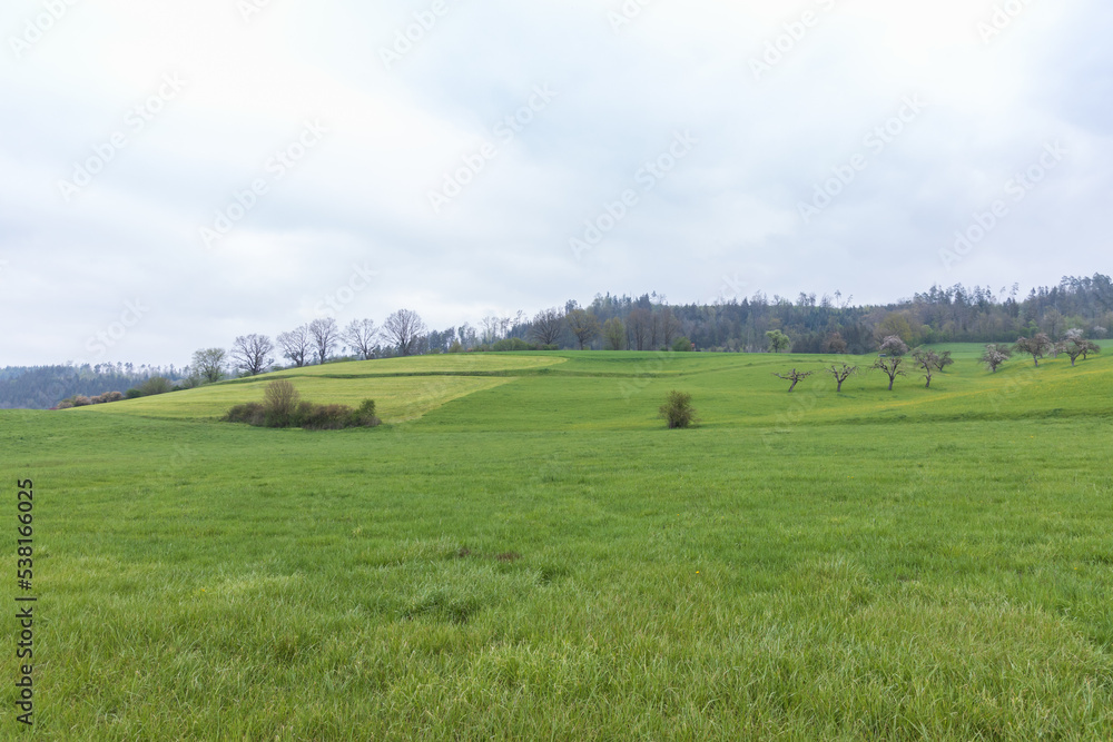 Fototapeta premium landscape with field and sky