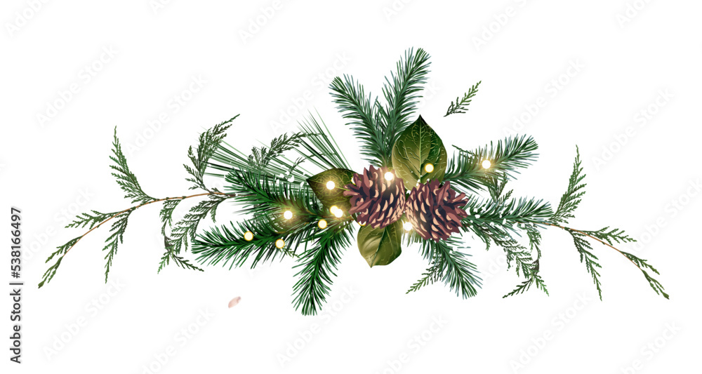 Large Set Different Green Pine Branches Isolated Christmas Decor Green  Stock Vector by ©fosonya 204387652