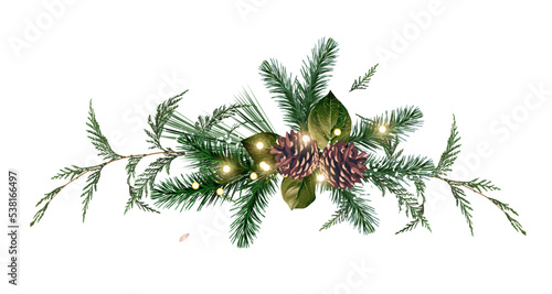 Emerald christmas greenery  spruce  fir  cedar  pine cones vector design bouquet