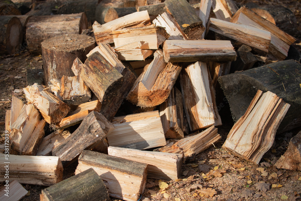 Chopping firewood for the winter. Fuel for the fireplace. Harvesting logs for heating the house. Chopping firewood for the winter. Fuel for the fireplace. Harvesting logs for heating the house.