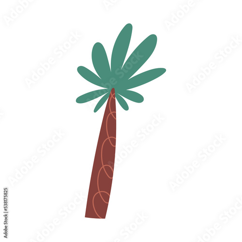 Palm tree hand drawn vector illustration isolated on white background. Tropical tree in naive flat style. Concepts of summer and beach.