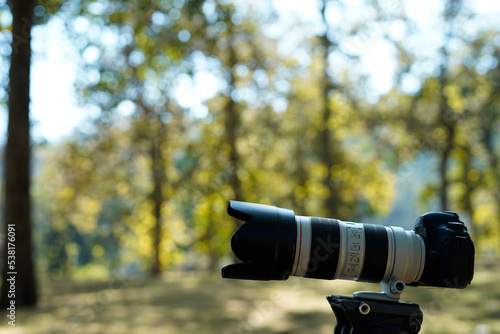 Wallpaper Mural wild life photography Torontodigital.ca