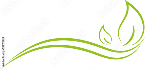 Pflanzen, Blätter, Wellness, Gärtner und Natur Hintergrund