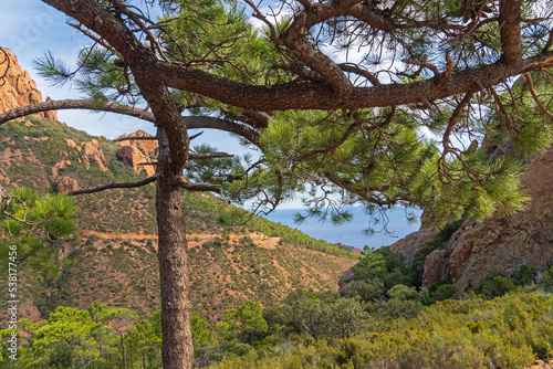 Landschaft im Est  rel-Gebirge an der C  te d Azur