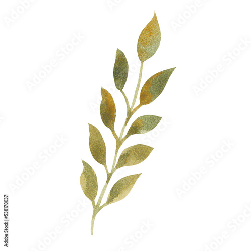 Watercolor branch with green leaves. Element for design, decoration. Floral, botanical style. Dry leaves. Autumn, spring.