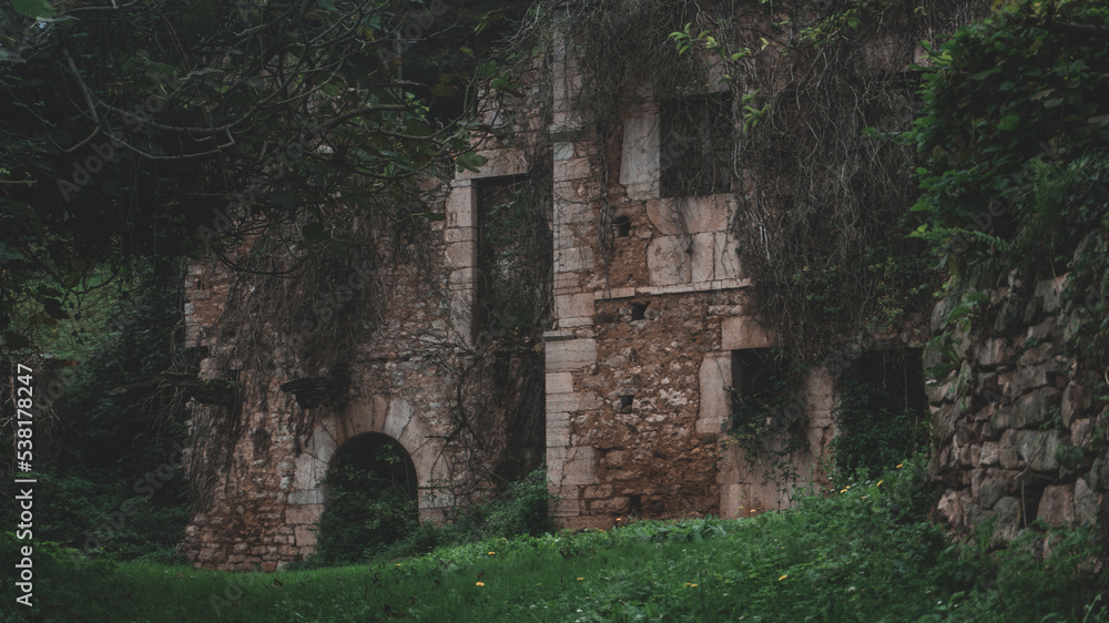 Ruins of an old house with vegetation growing inside the house and with a misty scenary