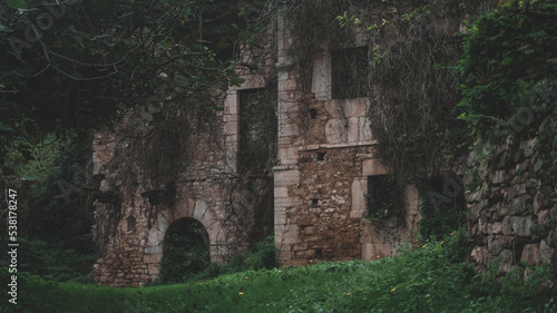 Fotografie Ruins of an old house with vegetation growing inside the house and with a misty
