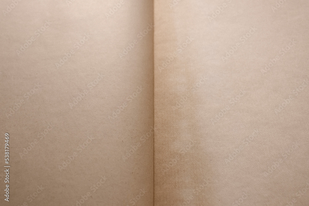 Fototapeta premium Empty pages of open old book background