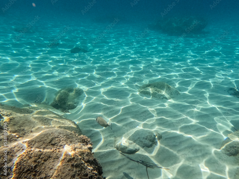 Fototapeta premium underwater scene with rays of light on a beach on the island of Mallorca