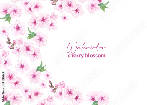 Watercolor almond or cherry blossoms. Illustration of blooming pink sakura. Card design with hand drawn flowers for packaging, web, card and label.