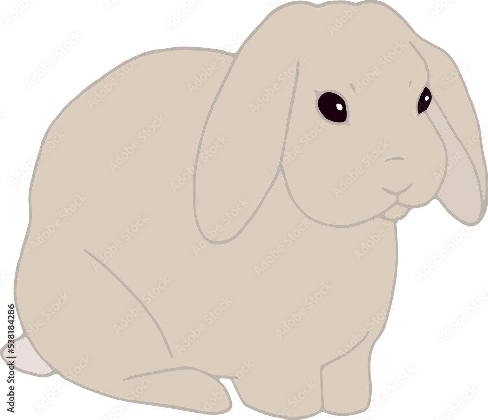 Vector art of sitting rabbit. Cute simple hand drawn bunny. Animal isolated. Pet icon Vector art of sitting rabbit. Cute simple hand drawn bunny. Animal isolated. Pet icon