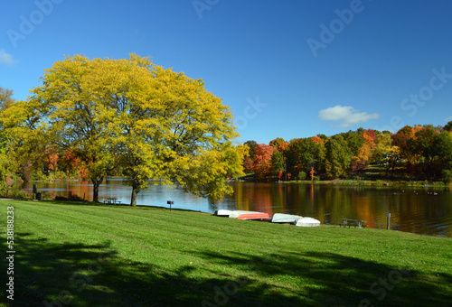 autumn foliage along a lake