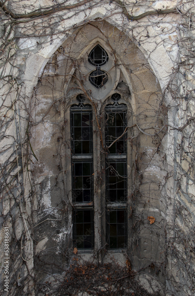 Detail of a Gothic window covered with branches. Detail of a Gothic window covered with branches.