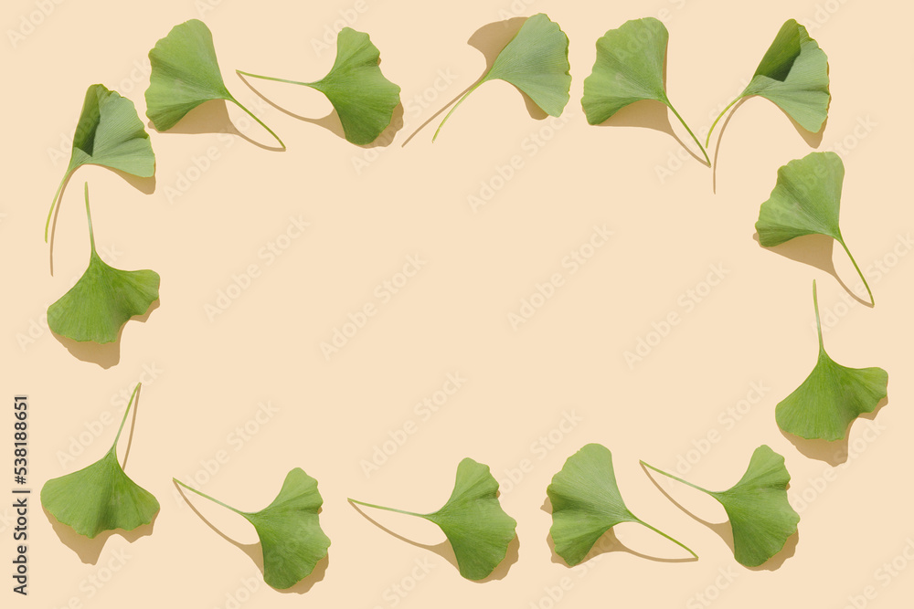 Beautiful bright frame with cozy fresh green ginkgo biloba leaves on pastel beige background. Flat lay, top view minimal neutral herbal arrangement. Ginkgo biloba. Beautiful bright frame with cozy fresh green ginkgo biloba leaves on pastel beige background. Flat lay, top view minimal neutral herbal arrangement. Ginkgo biloba.