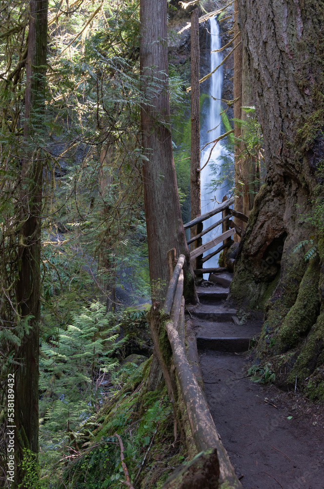 A walk to the Marymere Falls, Olympic Peninsula, USA A walk to the Marymere Falls, Olympic Peninsula, USA