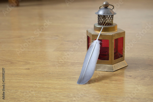Obraz na plátně Dandle Lamp with Feather