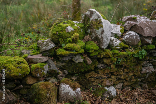 Ireland's humid climate provides the typical fairytale moss-covered walls.