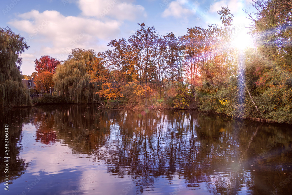 Obraz premium autumn trees reflected in water