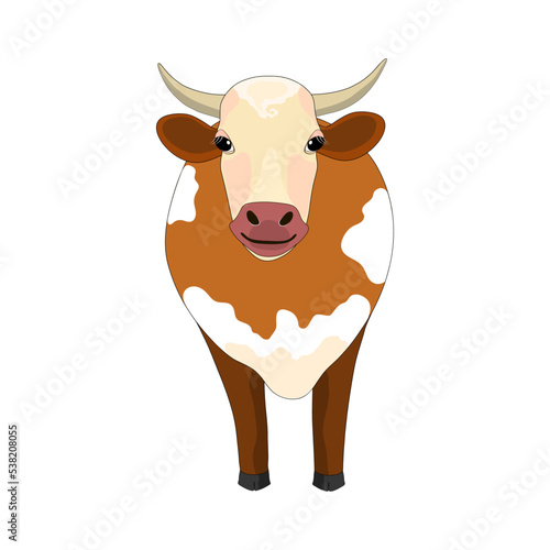 portrait of a cow with full-length horns in brown with white spots. vector