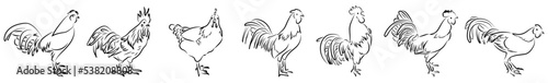 7 Hähne Lineart Zeichnungen Vektor Grafik | Roosters Lineart Drawings Vector Graphic