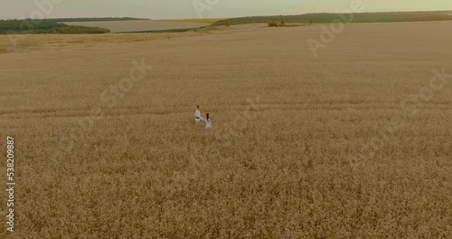 Wallpaper Mural Drone is flying over an endless wheat field, Ukrainians are walking across the field and holding hands. Beautiful expanses of fields, ripe wheat harvest, agribusiness. 4k, ProRes Torontodigital.ca