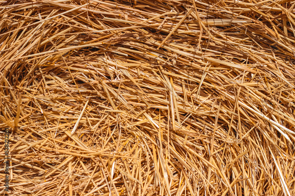 Background dry straw close-up, selective focus. Background dry straw close-up, selective focus.