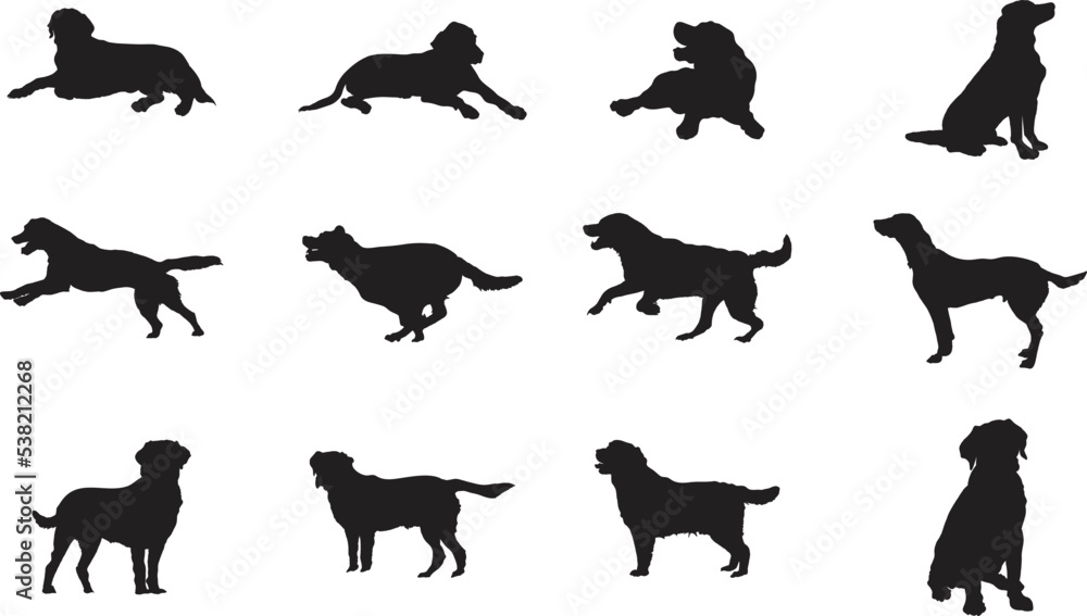 A vector silhouette collection of Labrador dogs for artwork compositions.