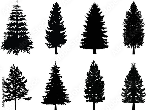 Tablou canvas A vector collection of pine tree silhouettes