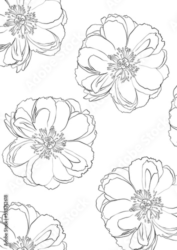 set of flowers