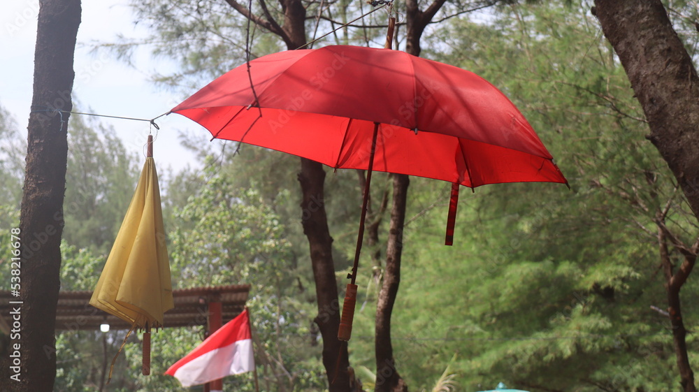 red umbrella in the forest