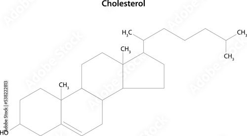 Cholesterol molecule. Structural formula. Essential component of cell membranes and precursor of steroid hormones. 