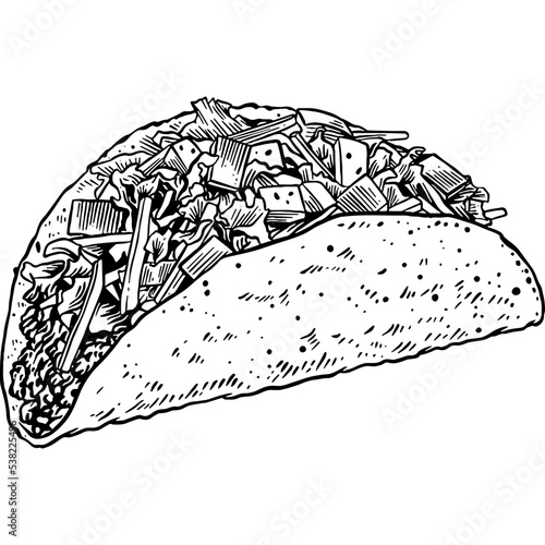 Hand drawn Taco Sketch Illustration
