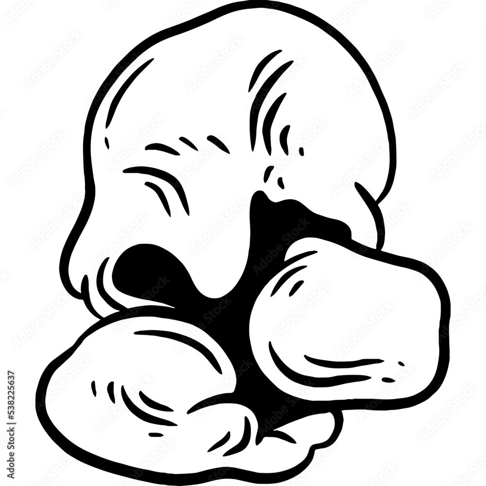 Hand drawn Popcorn Hand drawn Popcorn