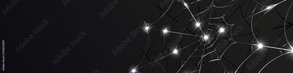 elegant monochrome spider web background banner with glitter light