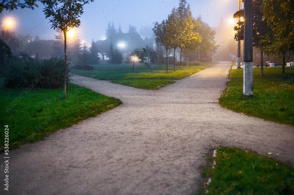 Obraz premium Crossing wide pedestrian sandy alleys in the park among grass and trees at dusk, in the light of night lamps. conceptual landscape