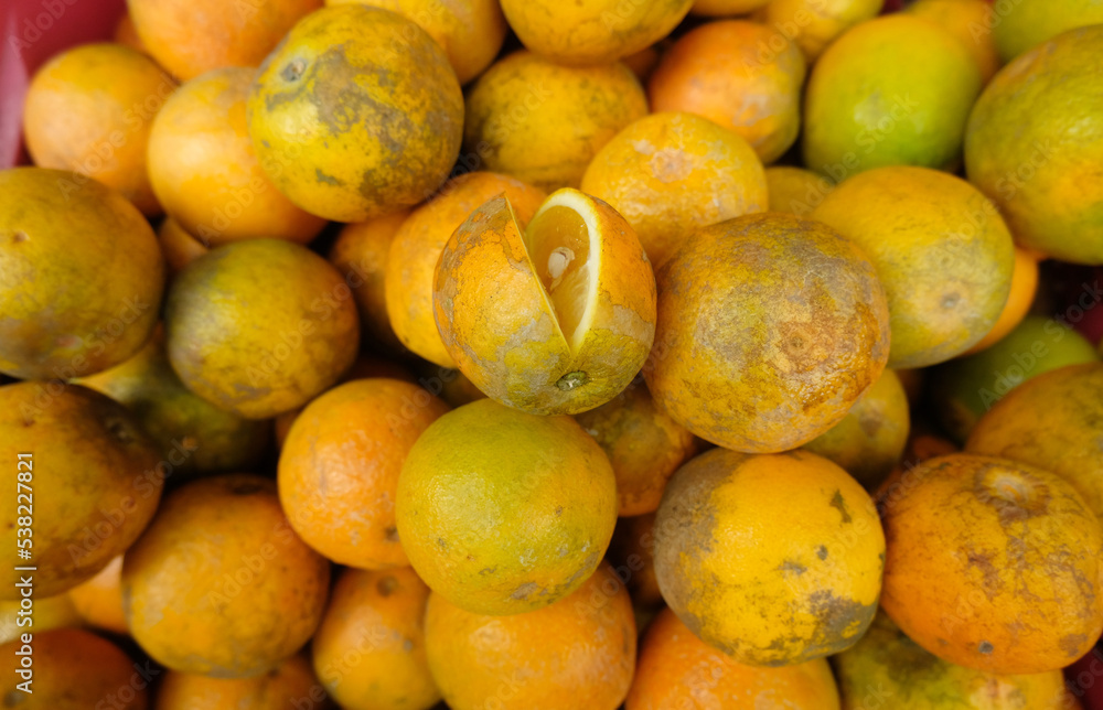 Orange fruit - large amounts of orange fruit, fresh orange fruit, orange fruit in a basket Orange fruit - large amounts of orange fruit, fresh orange fruit, orange fruit in a basket