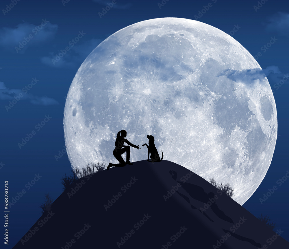 A girl teaches her dog to shake hands as they are on a hill at night in the moonlight in a 3-d illustration.