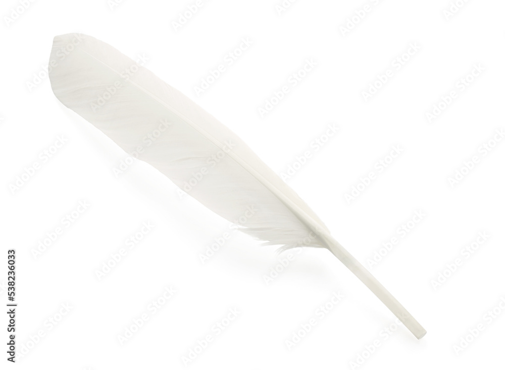 One fluffy beautiful feather isolated on white One fluffy beautiful feather isolated on white