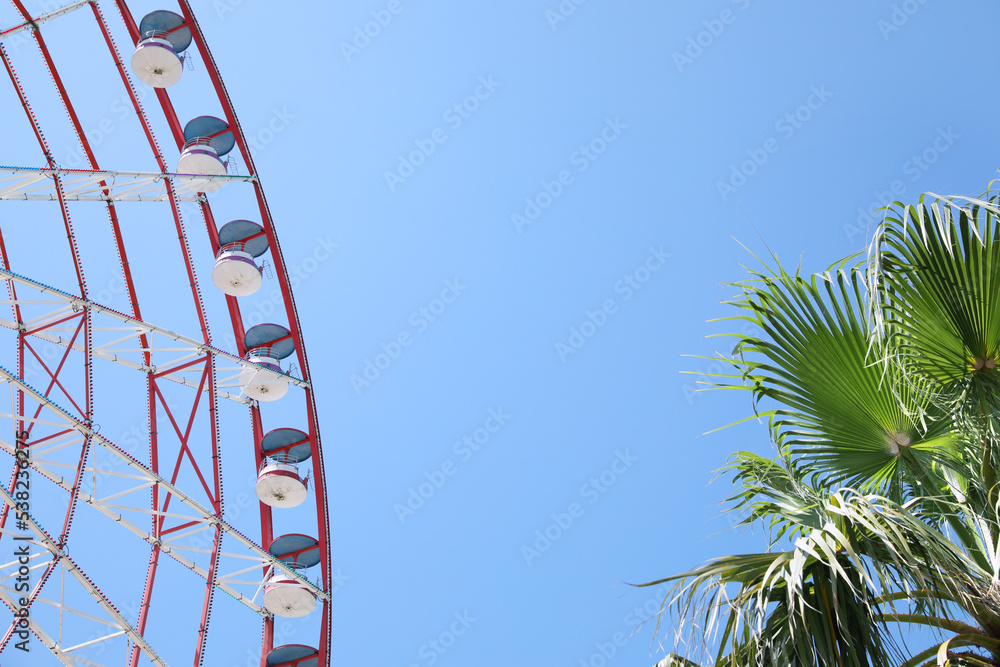 Beautiful large Ferris wheel and palm tree against blue sky