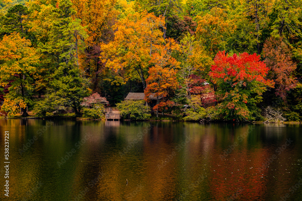 beautiful autumn trees with vibrant colors reflected in water at Vogel state park in Georgia landscape background beautiful autumn trees with vibrant colors reflected in water at Vogel state park in Georgia landscape background